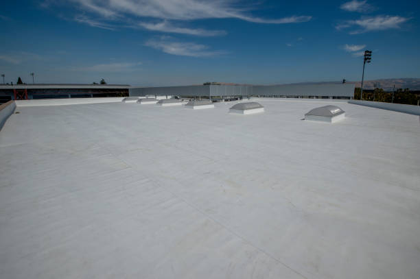 Best Roof Ventilation Installation  in Mauriceville, TX